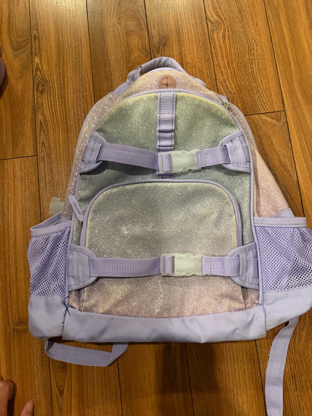 Pottery Barn Kids Glitter Backpack and Lunch Box
